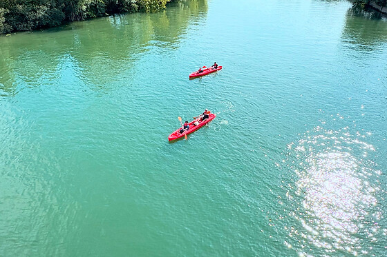 Location de kayak & Paddle à Neuilly-Plaisance (93) - Stand Up Paddle - 1h