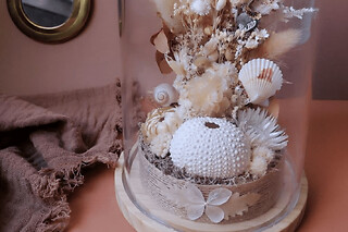 Atelier composition floral & coquillages sous cloche à Pornichet
