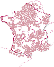 Saveurs régionales