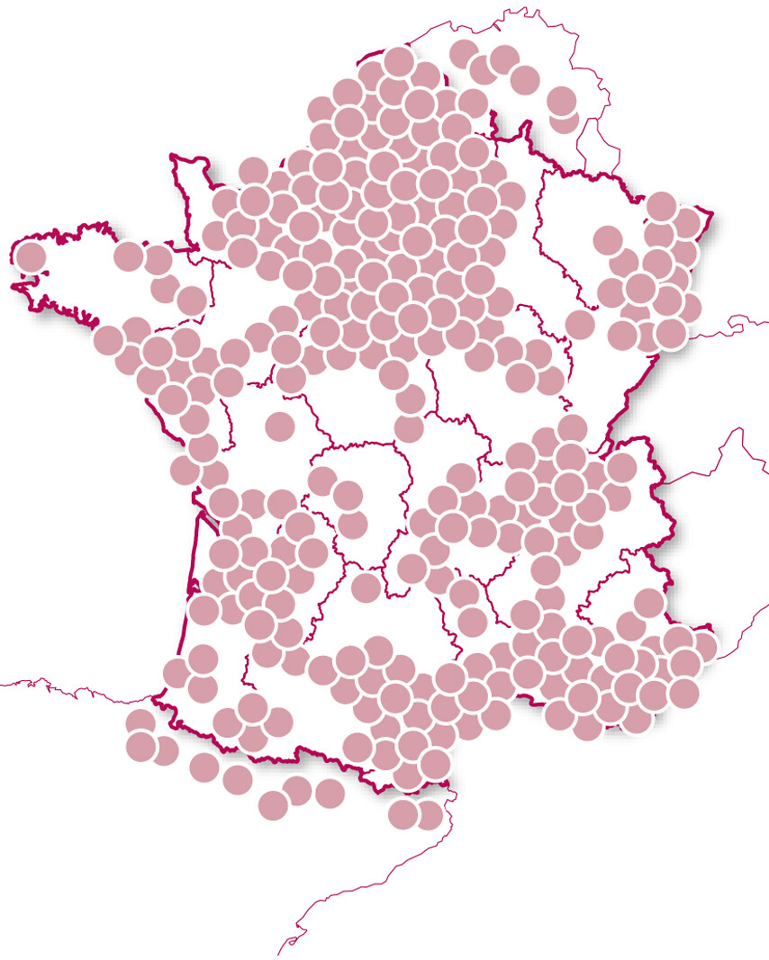 Saveurs régionales
