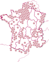 Gastronomie des grands Chefs