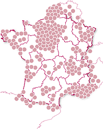 Bistrots et saveurs