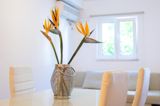 Cem Sentido - Alentejo Apartments - photo 5