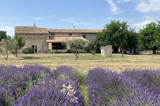 Atelier ilys - photo 4