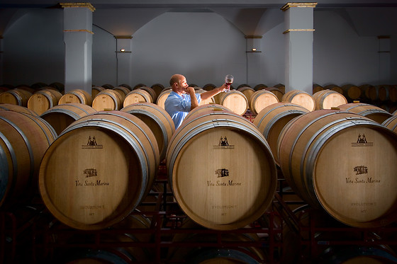 BODEGA VALDEALTO - photo 10