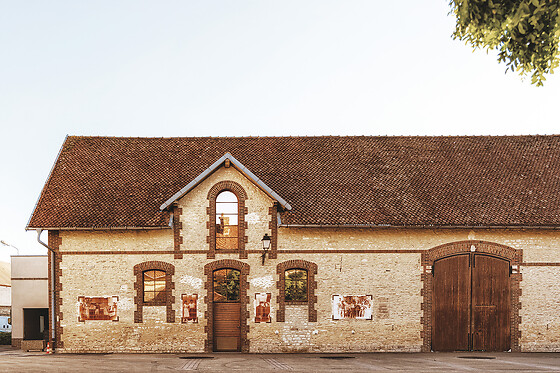 Une dégustation mystère pour deux au domaine Champagne Chassenay d’Arce à Ville-sur-Arce (10)