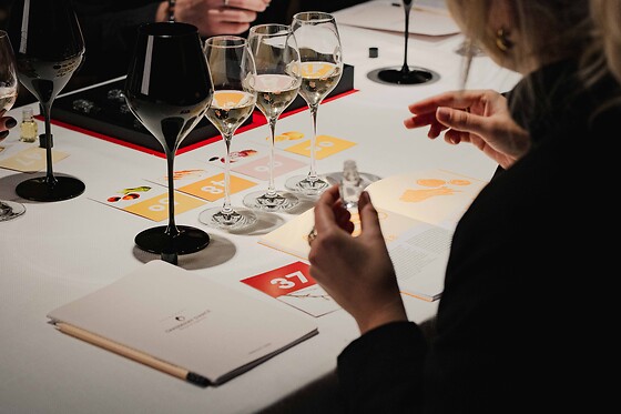 Une dégustation mystère pour deux au domaine Champagne Chassenay d’Arce à Ville-sur-Arce (10)