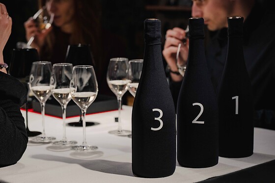 Une dégustation mystère pour deux au domaine Champagne Chassenay d’Arce à Ville-sur-Arce (10)