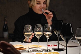 Une dégustation mystère pour deux au domaine Champagne Chassenay d’Arce à Ville-sur-Arce (10)