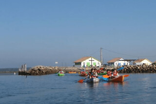 Balade botanique en kayak aux Prés Salés du Bassin d'Arcachon