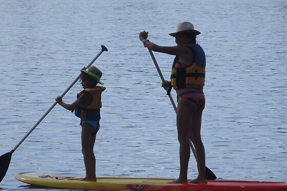 Location de Paddle au lac d'Arjuzanx (40) - 8 personnes - 1 heure
