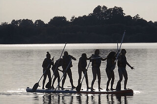 Location de Paddle au lac d'Arjuzanx (40) - 8 personnes - 1 heure