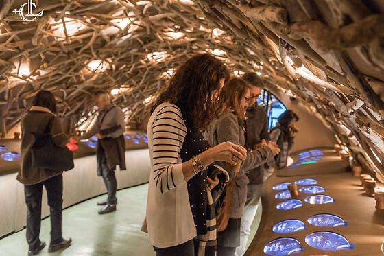 Visite & dégustation de vins Caves du Louvre Paris (en anglais)