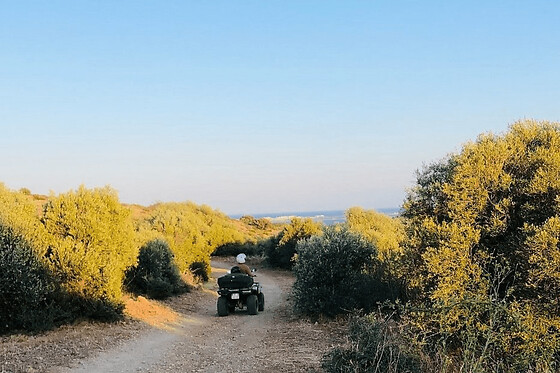 Balade en quad à Fitou (11)
