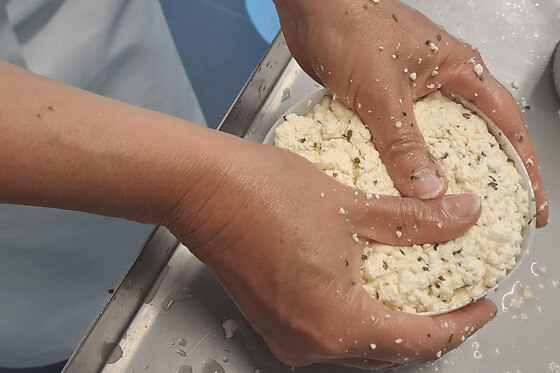Atelier fabrication de fromage à Rennes (35)