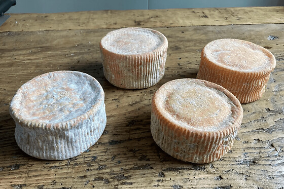 Atelier fabrication de fromage à Rennes (35)