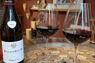 Atelier dégustation de vins à Dijon (21) - Classique Bourgogne