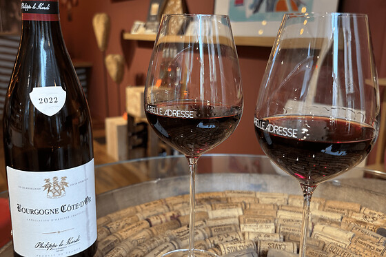 Atelier dégustation de vins à Dijon (21) - Classique Bourgogne