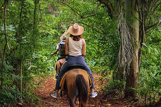 Balade découverte 1h à cheval proche d'Annecy (74)