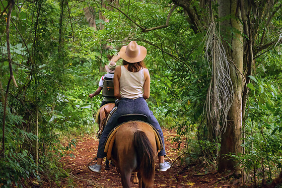 Balade découverte 1h à cheval proche d'Annecy (74)