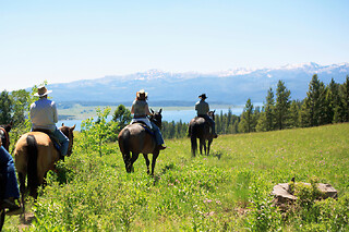 Balade découverte 1h à cheval proche d'Annecy (74)