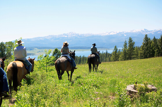 Balade découverte 1h à cheval proche d'Annecy (74)