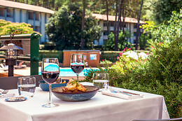 Hôtel Vitalparc hôtel & Spa – The Originals Collection