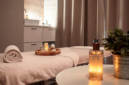 Hôtel Vitalparc hôtel & Spa – The Originals Collection