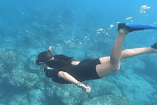 Snorkeling en Guadeloupe (971)