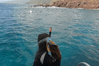 Snorkeling en Guadeloupe (971)