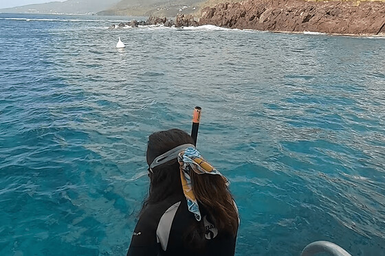 Snorkeling en Guadeloupe (971)