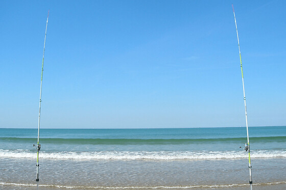 Découverte du Surf-Casting à La Tranche sur Mer (85) - Tarif Individuel