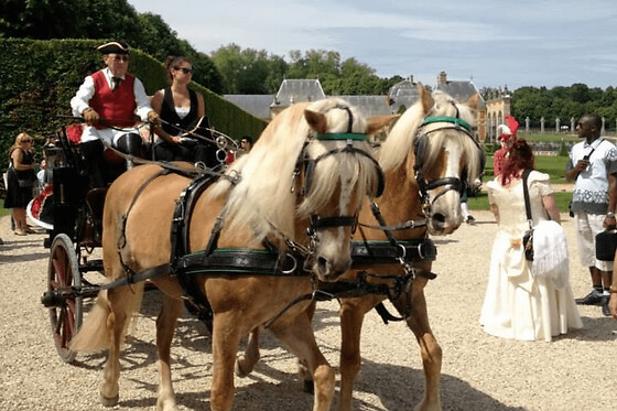 Initiation à l'attelage et balade à coté de Tournan-en-Brie (77)