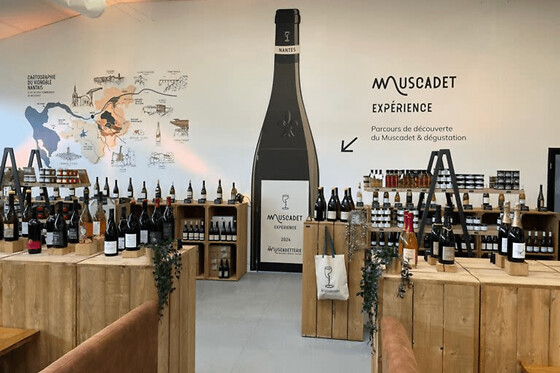 Muscadet Expérience : parcours ludique & dégustation de vin (44)