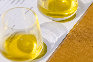 Dégustation d'huile d'olive Maison de la truffe à Ménerbes (84)
