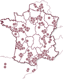 Atelier œnologique