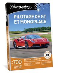 Pilotage de GT et monoplace