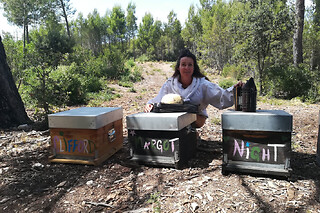 Stage 1/2 journée Apiculture à Mouriès (13)