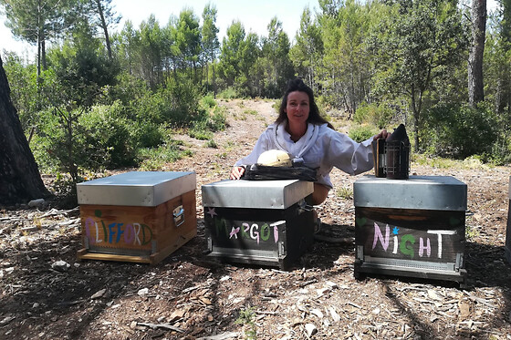 Stage journée apiculture à Mouriès (13)