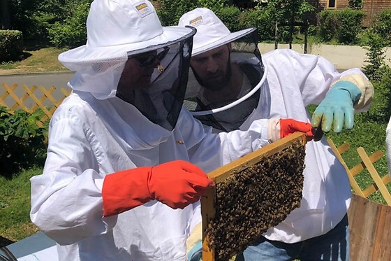 Stage journée apiculture à Mouriès (13)