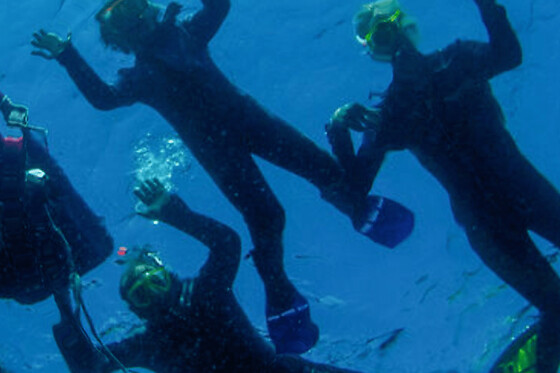 Snorkeling à Ajaccio (20)