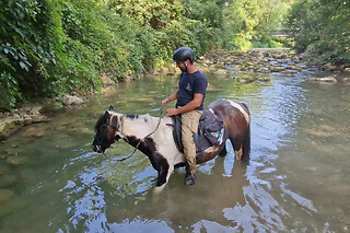 Balade aventure 2h à cheval proche d'Annecy (74)