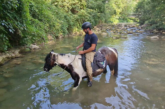 Balade aventure 2h à cheval proche d'Annecy (74)