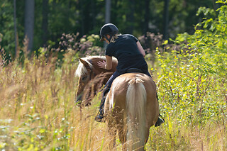 Balade aventure 2h à cheval proche d'Annecy (74)