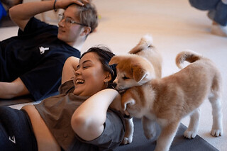Puppy Yoga à Lyon 8ème