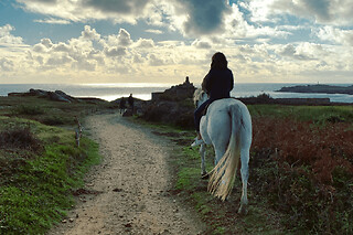 Balade privée à cheval à l'Ile d'Yeu (85)