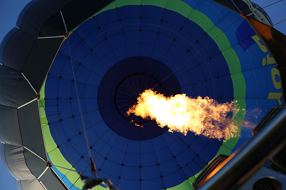 Pearl Balloon - photo 9