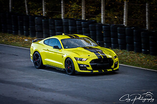 Découverte Ford Mustang Shelby GT500 (4 tours) sur le Circuit de Nogaro (2.2km)
