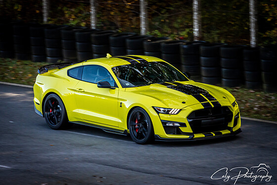 Duo Lamborghini Gallardo LP-560 / Ford Mustang Shelby GT500 (2x2 tours) sur le Circuit de Magny-Cours Club (58)