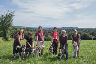 Cani-rando près de Sancy (63)